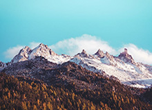 开云：让云端成为企业自由生长的土壤