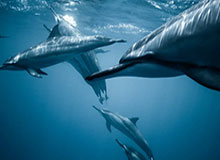 开云体育首页登陆-天津业余球队晋级足协杯正赛